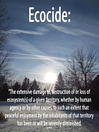 Ecocide Flyer