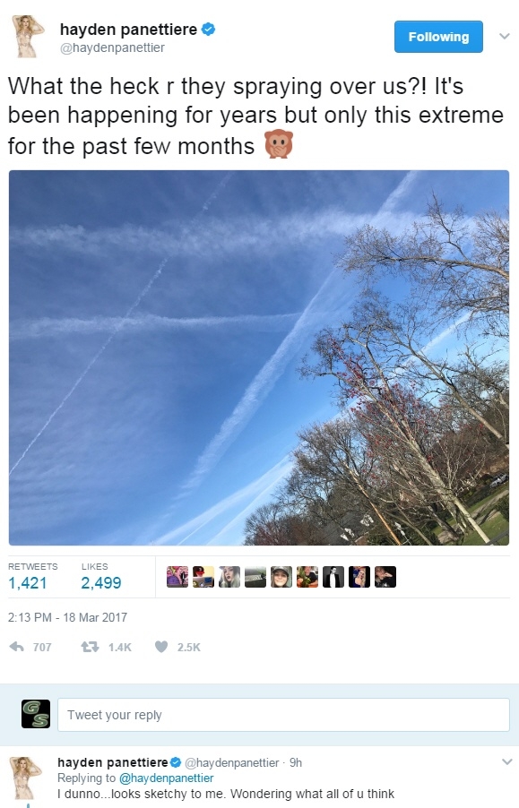 [Linked Image]