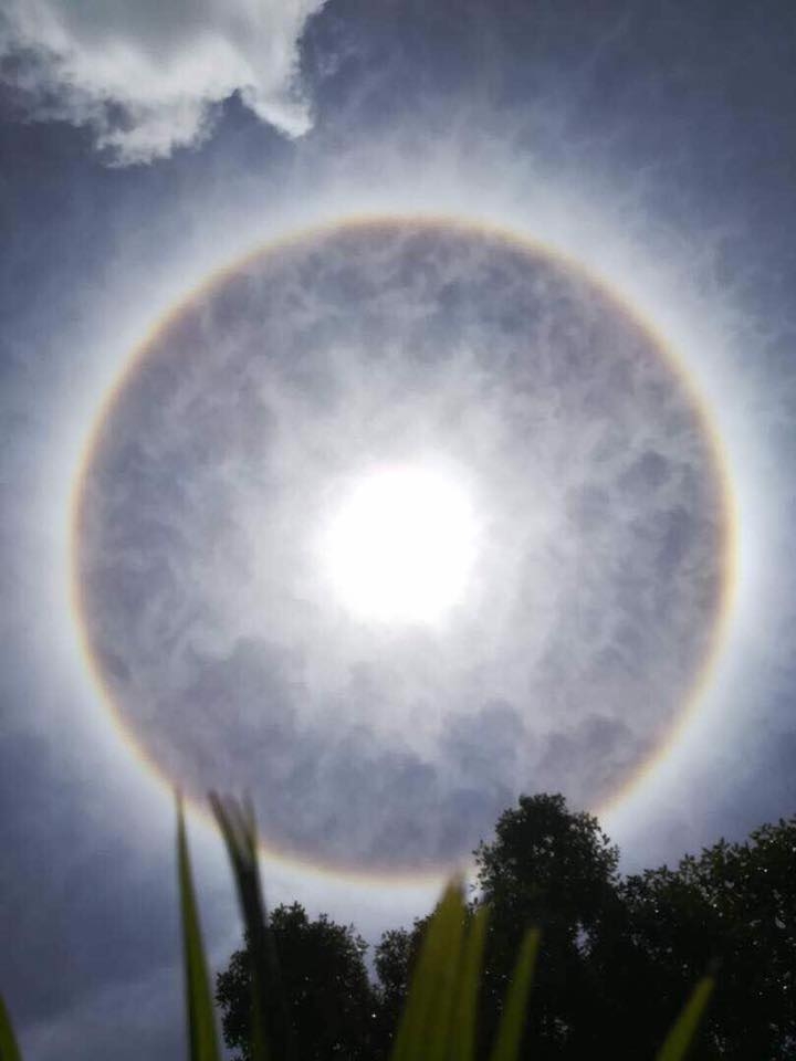 [Linked Image]