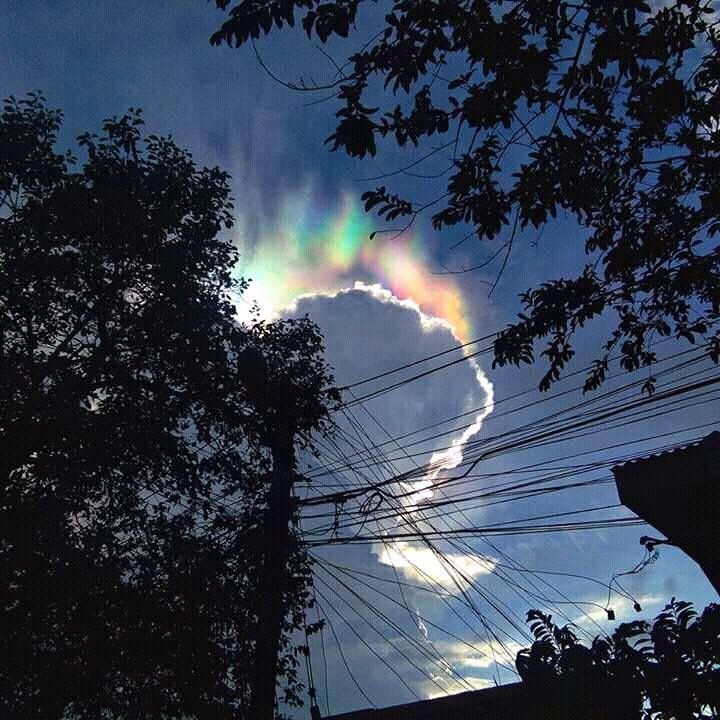 [Linked Image]