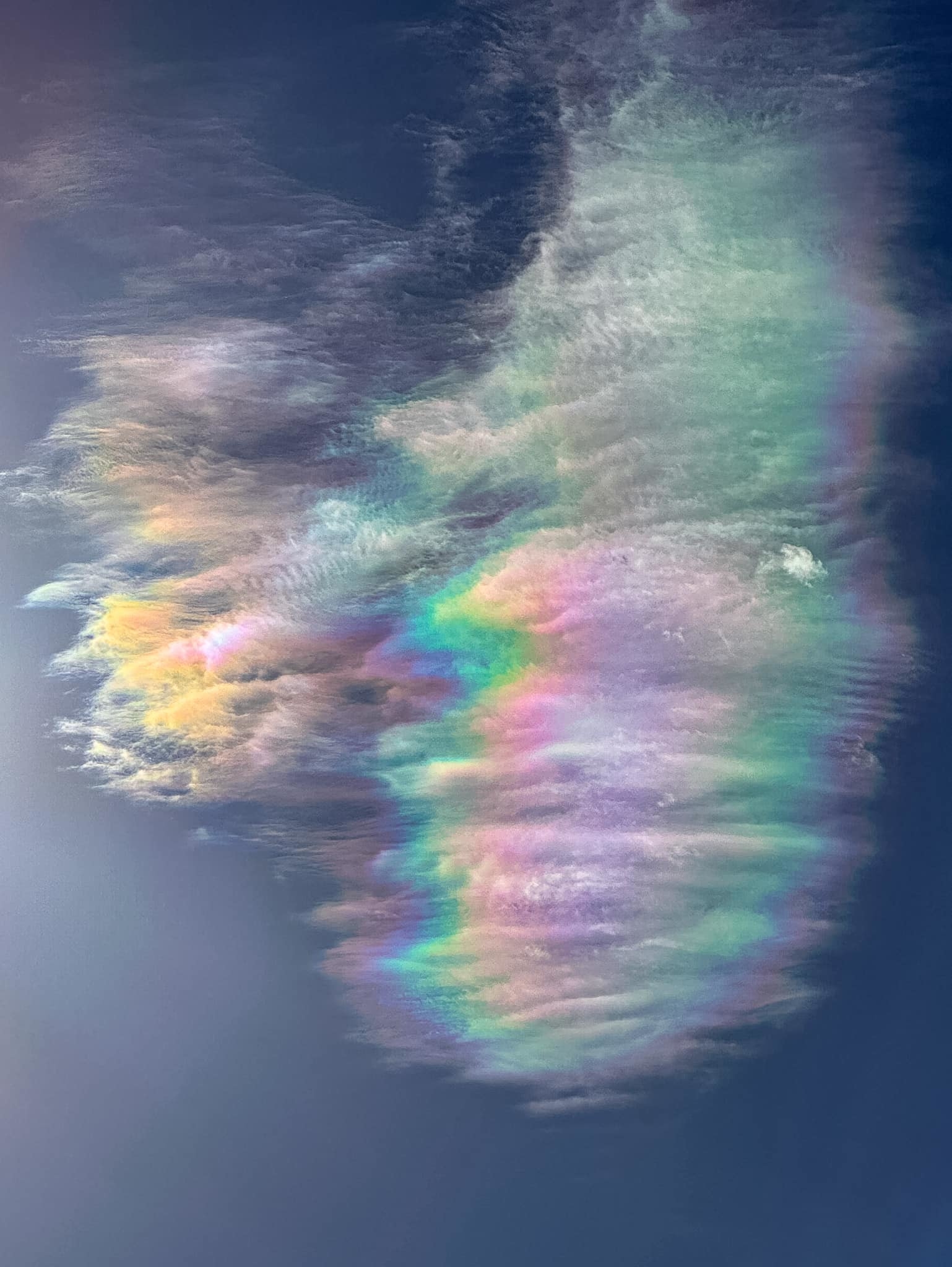 [Linked Image]