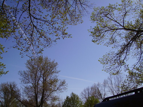 PICT1918.JPG