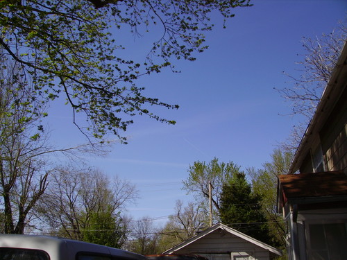 PICT1919.JPG