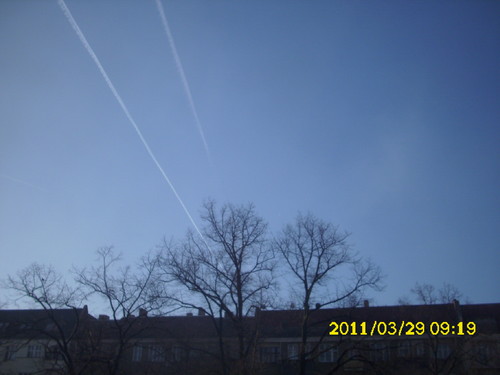 DSCI0111.JPG