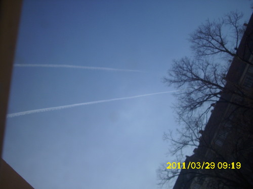 DSCI0112.JPG