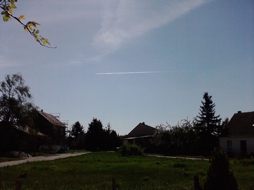 P290411_10.58.jpg