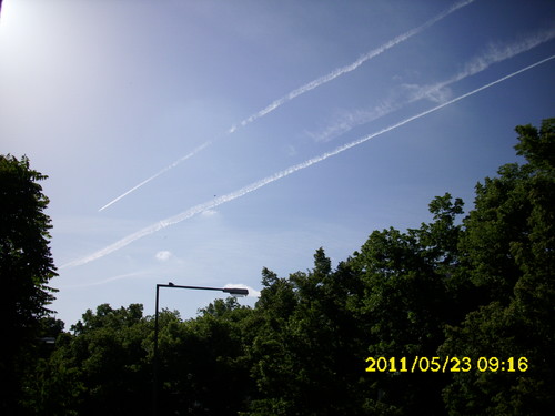 DSCI0126.JPG