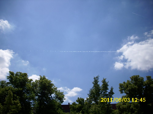 DSCI0136.JPG
