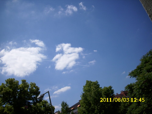 DSCI0138.JPG