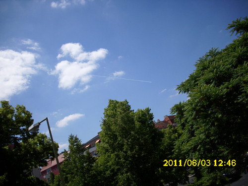 DSCI0141.JPG