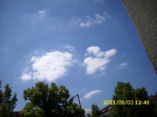 DSCI0142.JPG
