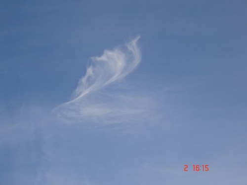 DSC02917.JPG