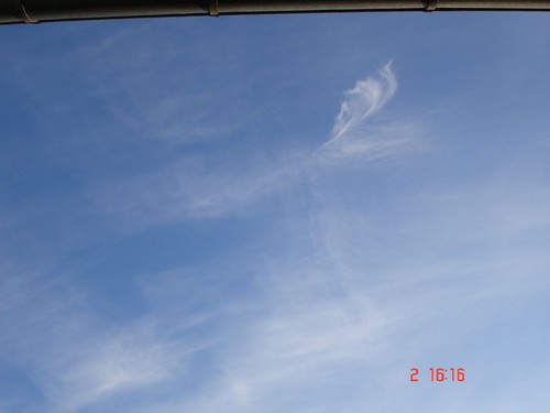 DSC02918.JPG