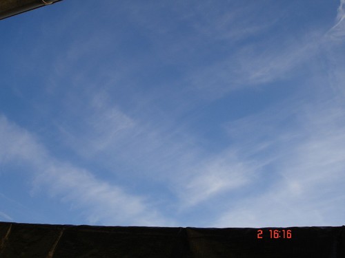 DSC02919.JPG