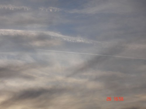 DSC02935.JPG