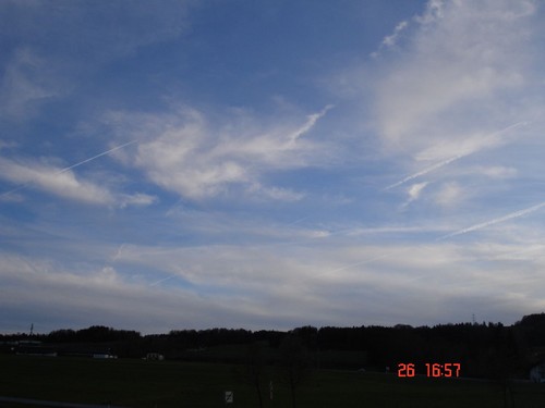 DSC02939.JPG