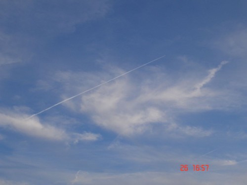 DSC02940.JPG