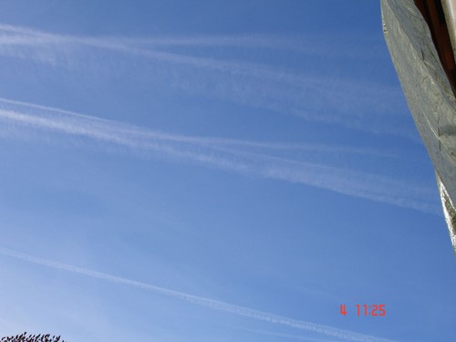 DSC02945.JPG