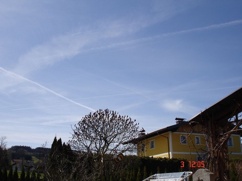 DSC02960.JPG