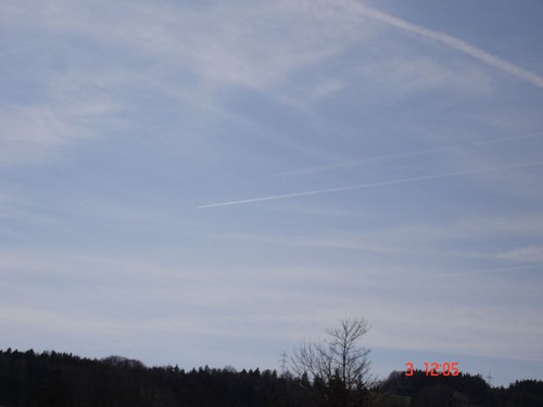 DSC02964.JPG