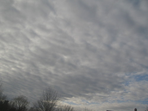 _003969.jpg