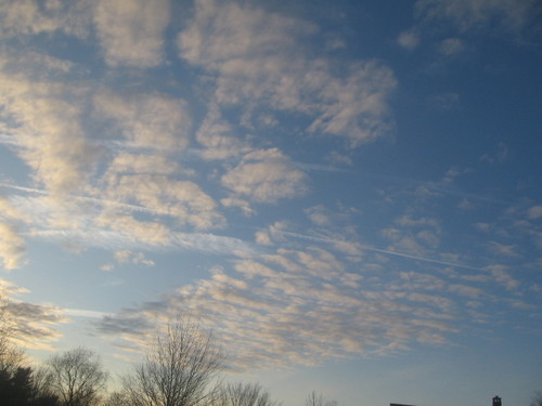 _004423.jpg