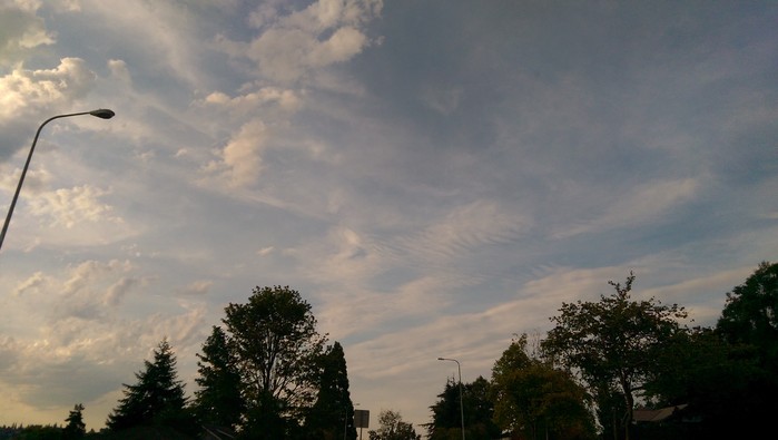 8:10:15a6.jpg