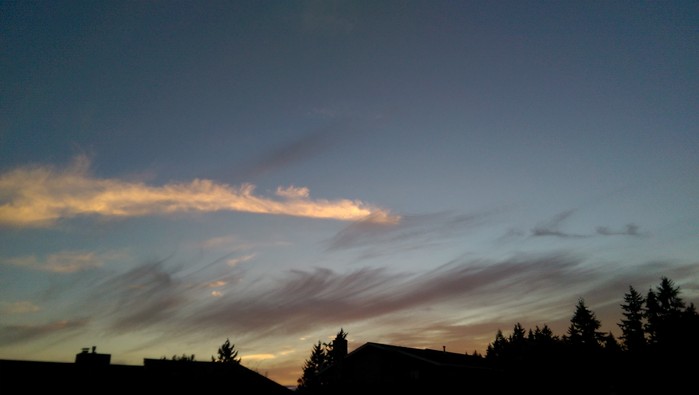 08:10:15DARK1.jpg