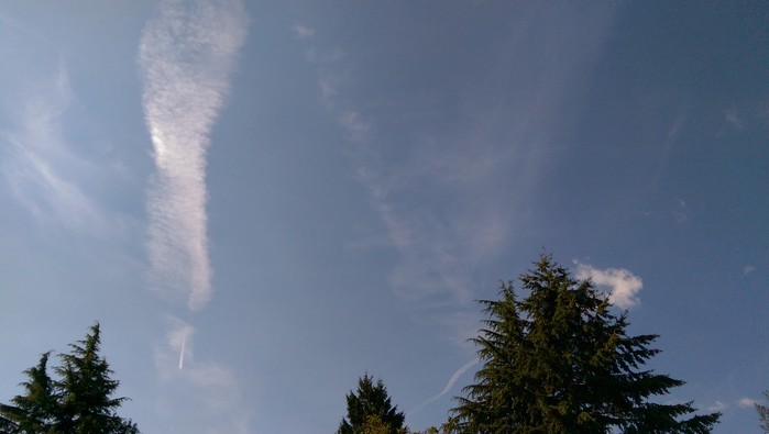08:10:153.jpg