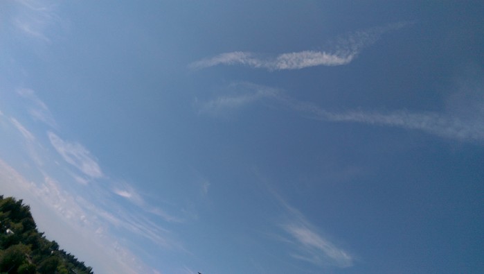 08:10:155.jpg