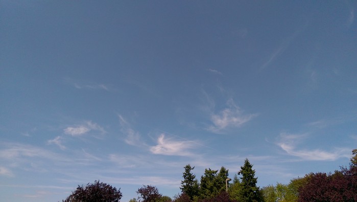 08:10:157.jpg