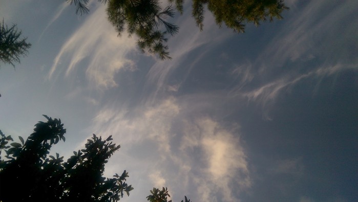8:24:153.jpg