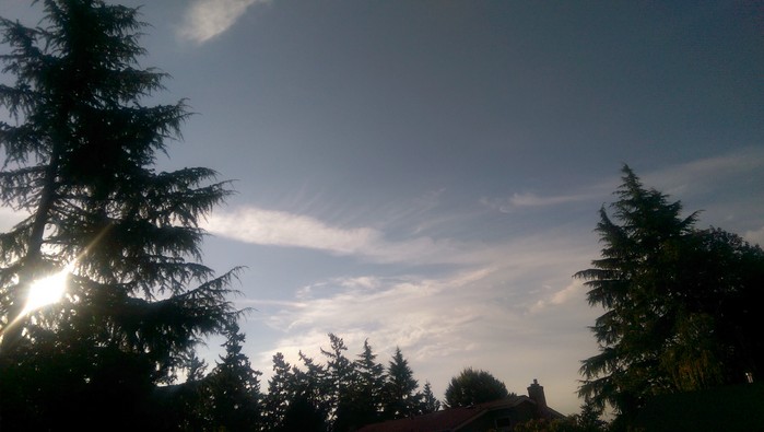 8:24:155.jpg
