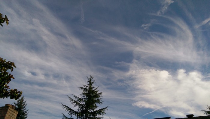 8:25:153.jpg