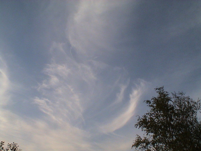 DSC01309.JPG