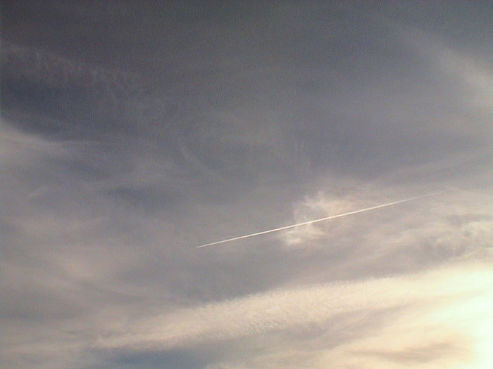 DSC01310.JPG