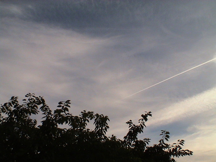 DSC01311.JPG