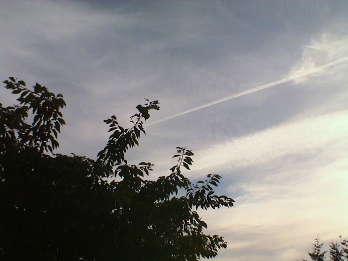 DSC01312.JPG