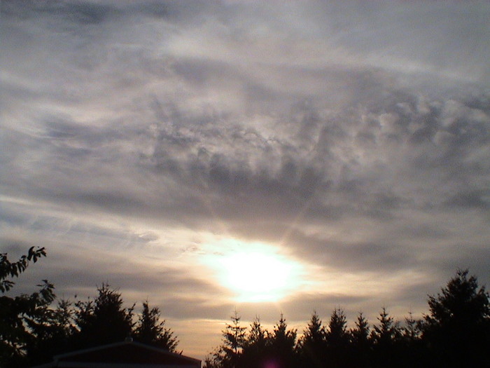 DSC01313.JPG