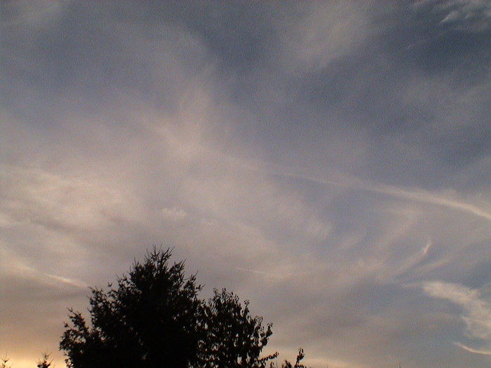 DSC01315.JPG