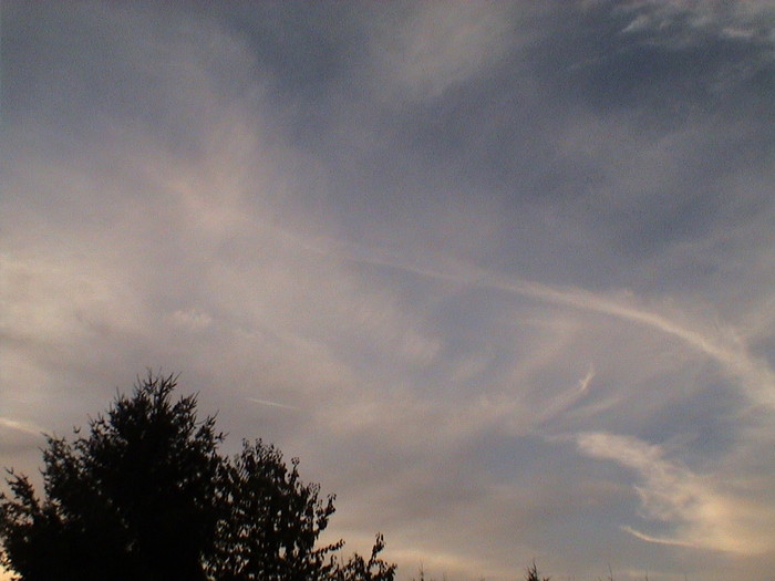 DSC01316.JPG