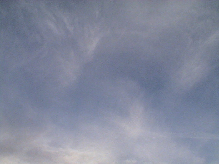 DSC01317.JPG