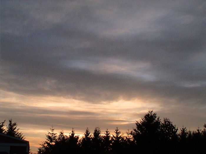 DSC01324.JPG