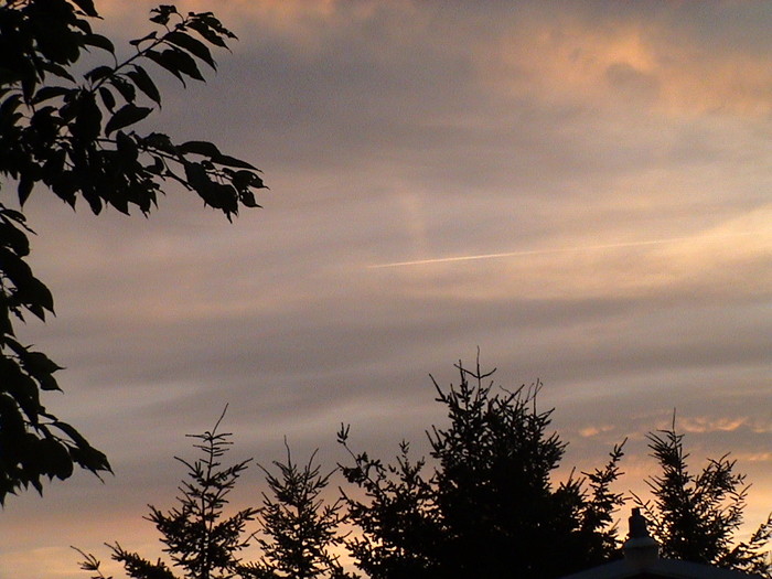 DSC01327.JPG