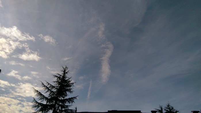 8:27:151.jpg
