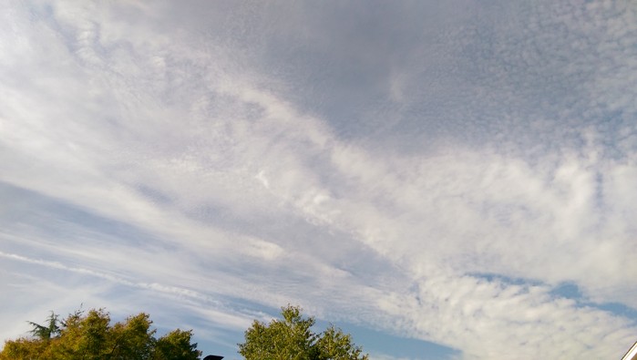 8:27:153.jpg
