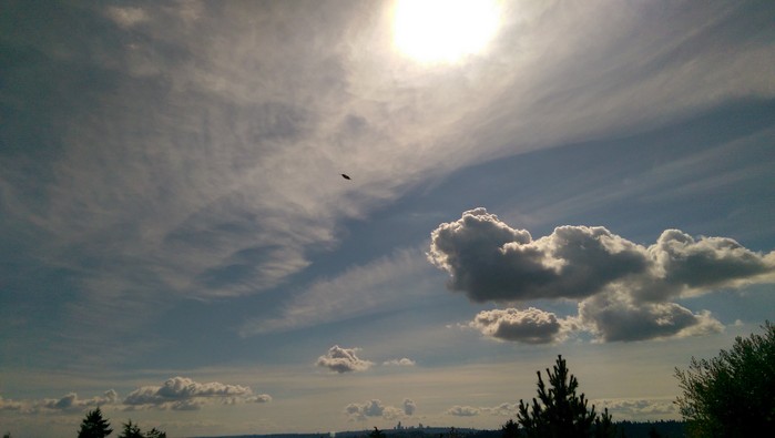 9:07:156.jpg
