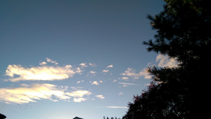 9:23:15eve6.jpg