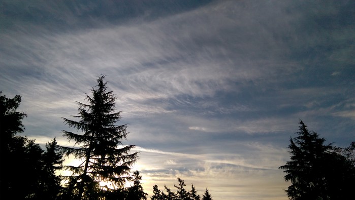 9:24:151.jpg