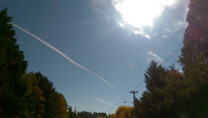10:5:15portland4.jpg